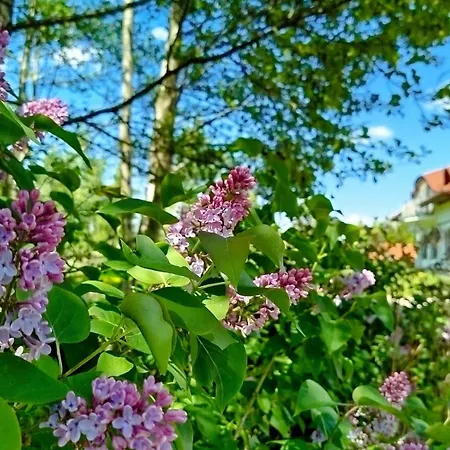Golebiowka Mazury *